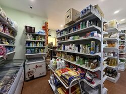 Sunhaven (D16), Shop House #529449261